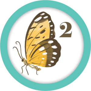 A teal circle with the digit 2 and a brown and yellow butterfly
