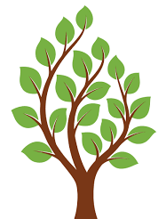 New Mexico Genealogy
